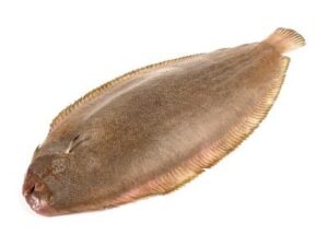 Sole