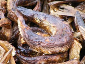 Brochet fumé