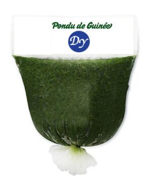 DY - Pondu Guinée