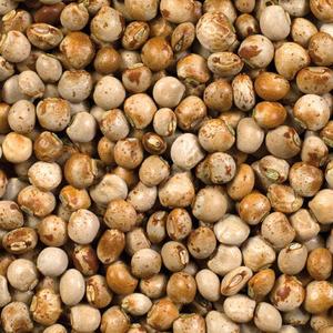 Pois d'Angole